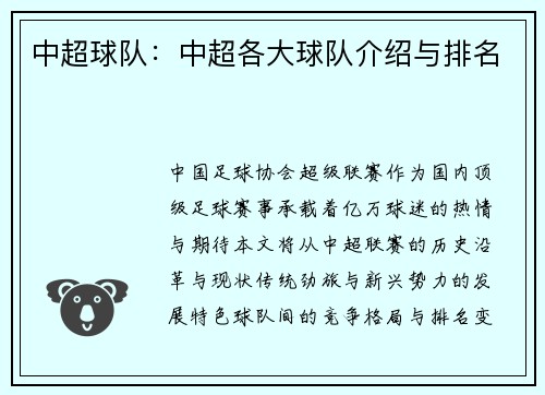 中超球队：中超各大球队介绍与排名