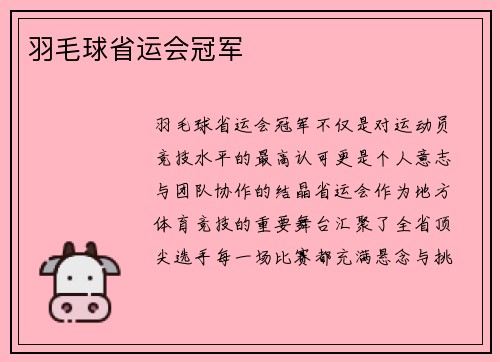 羽毛球省运会冠军